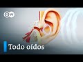 El oído, un supersentido -  ¿Pueden los sordos volver a oír? | DW Documental