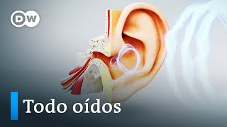 El oído, un supersentido   ¿Pueden los sordos volver a oír? | DW Documental