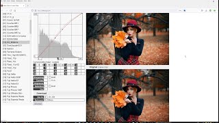 The BEST presets SPECIFIC for Nikon? Free? For the Camera itself? (4K Video) screenshot 2