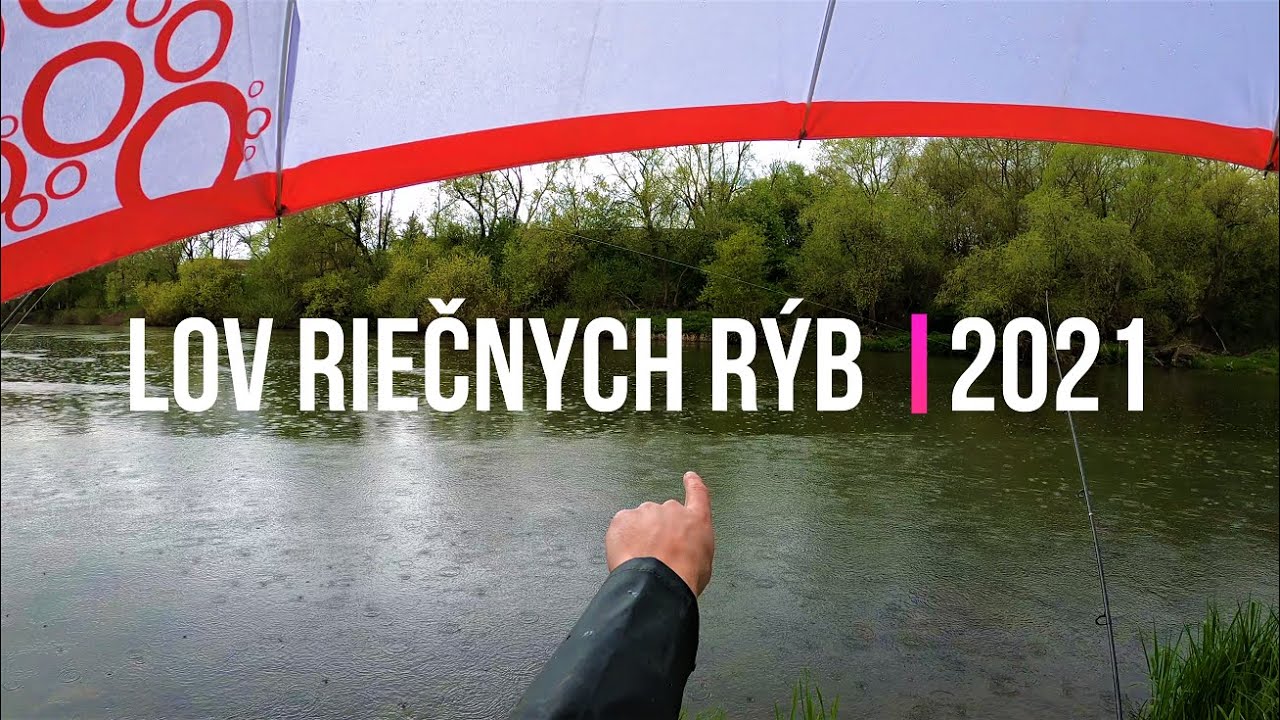 Lov Riečnych Rýb 🎣 na Rieke Váh 🐬 Mrena, Pstruh, Nosáľ, Kapor a iné | Rybárske Videá s Demexom