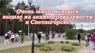 Мирные протесты в Светлогорске 13 августа