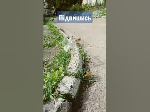 Вітряк з пластикової пляшки - YouTube