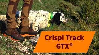 scarponi crispi track gtx