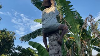 Poret natnating [PNG latest funny video]🇵🇬😂