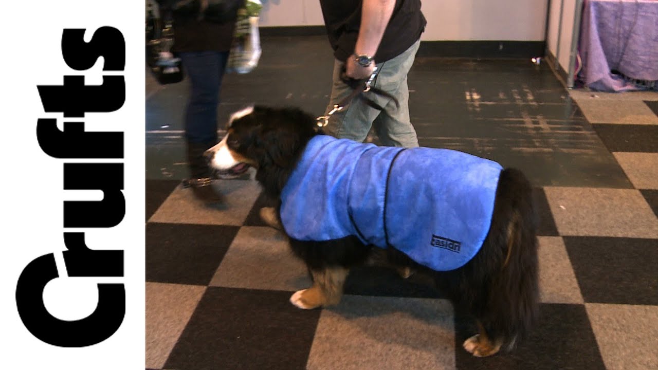 EASIDRI HIGH PERFORMANCE DOG COOLING COAT summer jacket vest