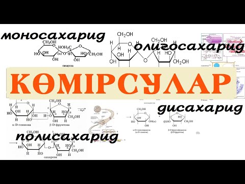 Көмірсулар (моносахаридтер, дисахаридтер, олигосахаридтер, полисахаридтер) 1 бөлім