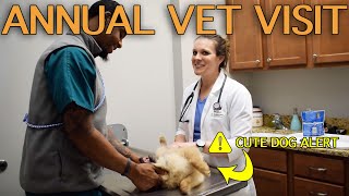What Happens During An Annual Vet Visit by Stand For Animals 195 views 5 years ago 3 minutes, 36 seconds