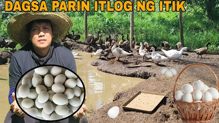 Dagsa parin ang itlog ng Itik Walang ubos pagbibis...