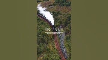 ﴿وتوكل على العزيز الرحيم﴾ تلاوة خاشعة اسلام صبحي | حالات واتس اب | Quran Kareem | مُريحة لقلبك 🫀