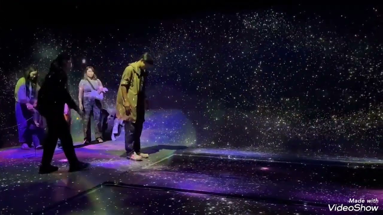 チームラボ京都バイオヴォルテックス初体験してきた。