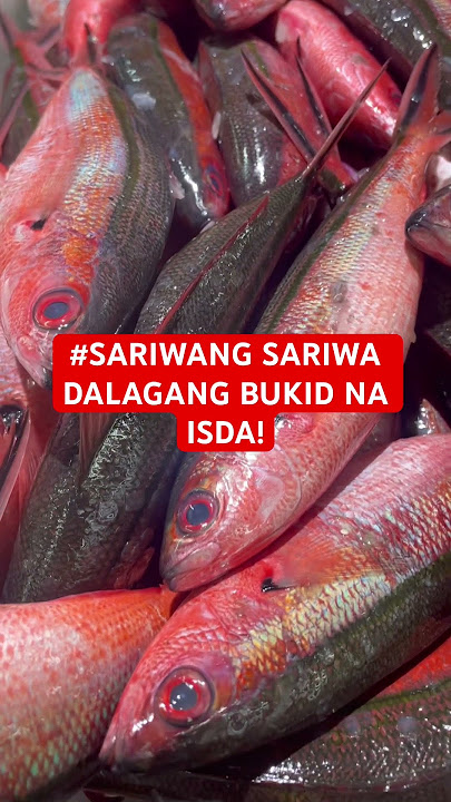 SARIWANG SARIWA DALAGANG BUKID NA ISDA! #shorts #shortsvideo #fishing #fish