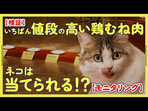 [Verification] Can a cat guess the most expensive chicken breast? [Monitoring]