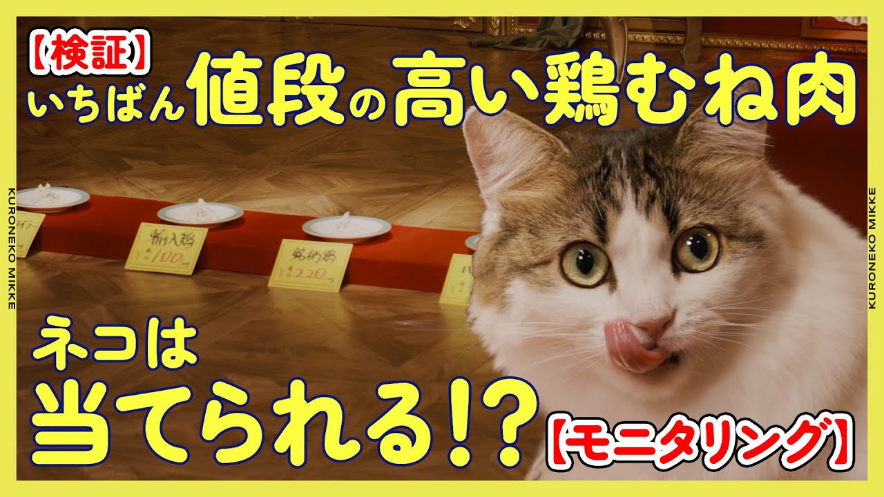 【検証】ネコはいちばん値段の高い鶏むね肉を当てることができるのか！？【モニタリング】