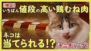 【検証】ネコはいちばん値段の高い鶏むね肉を当てることができるのか！？【モニタリング】