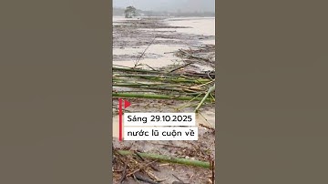 Lũ cuộn về tại cầu Sông Giang xã Trường Giang đổ ra sông Trà Khúc tỉnh Quảng Ngãi #thuongkhoailang