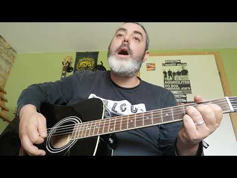 NOFX - you're wrong acoustic cover by Hey Mo!