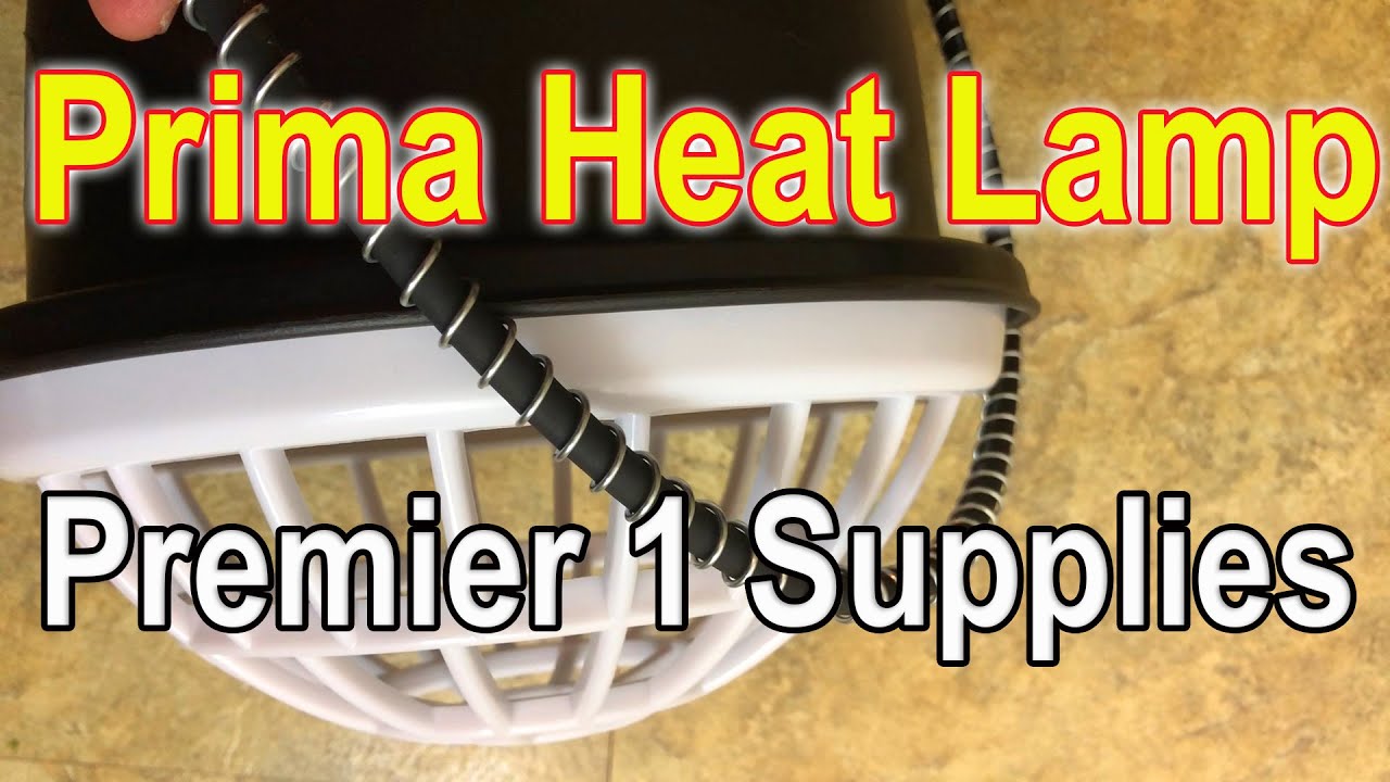 How Much Heat Does A 250 Watt Heat Lamp Produce? Update