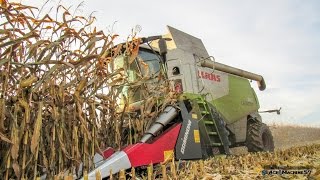 maïs grain 2015 (LEXION 740 8 rangs)