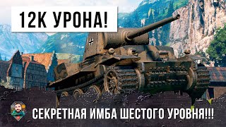 12 ТЫСЯЧ ОБЩЕГО УРОНА НА ТАНКЕ 6 УРОВНЯ! ЗА 8 ЛЕТ ИГРЫ ТАКОЕ Я ВИЖУ ВПЕРВЫЕ В WORLD OF TANKS!!!