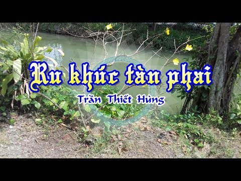 [Karaoke] RU KHÚC TÀN PHAI - Trần Thiết Hùng (Giọng Nam)