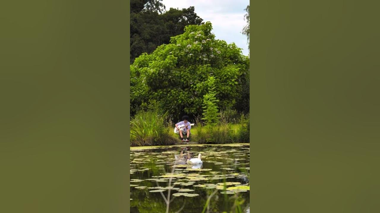 Aodhan’s sings for the swan in the lake #guitar