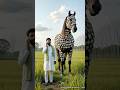 Cool Horse Covered In Millions Of White Beetles Saved By Farmer Horse Animals Viralvideo Cool Cool Horse Covered In Millions Of White Beetles Saved By Farmer Horse Animals Viralvideo Cool