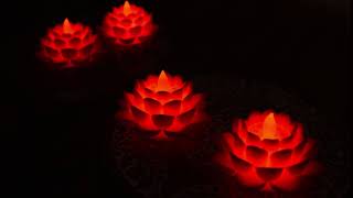 LEDライトで輝くロータスの花