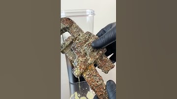 Testing Evapo-Rust on a super rusty and crusty pipe wrench