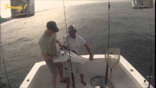 March 26, 2015 Sunny One With Gregory Dent And Crew