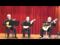 Trío BALAGUI interpretando Pavana de E. Lucena