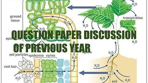 BIOLOGY QUESTION PAPER DISCUSSWION OF PREVIOUS YEAR # CLASS 11# BOARD AHSEC