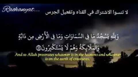 صوته يريح القلوب الشيخ وديع اليمني ..حالات واتس اب قرانيه (آيات تريح القلوب)