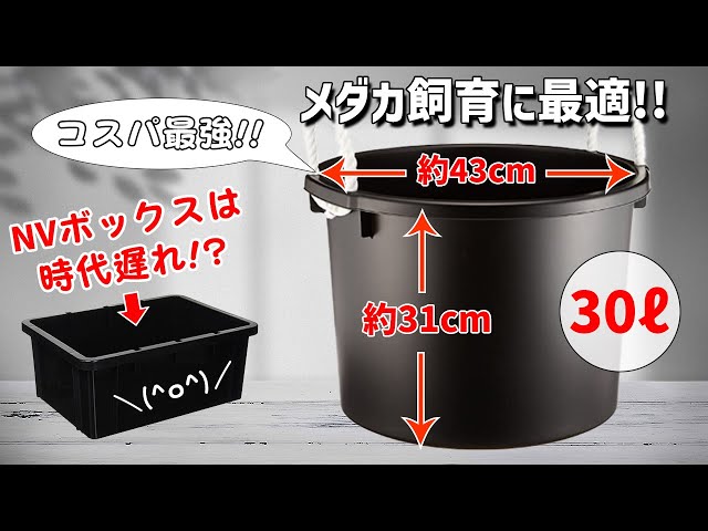 メダカ屋外飼育（ビオトープ作成）に超絶お勧めの大容量「万能 ...