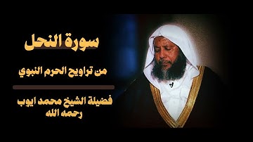 سورة النحل هادئة الشيخ محمد ايوب أجمل التلاوات