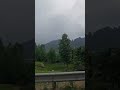 Road. Forest. Music.😍🤍  #iran #travel #shortvideo #walkingtour #shorts