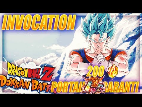 INVOCATION CYCLE 1 (200DS) PORTAIL NOUVEL AN |DOKKAN BATTLE FR|