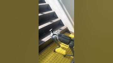 Unitree Go2 dog robot climbing stairs #unitree #dogrobot #obstaclecourse
