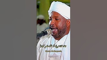 سورة البقرة الشيخ زين محمد احمد #القرآن #القرآن_الكريم #تلاوات #تلاوة #quran #reels #reelvideo#الله