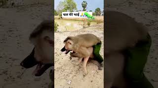 Chal Mere Bhai Chal Chal Mere Bhai