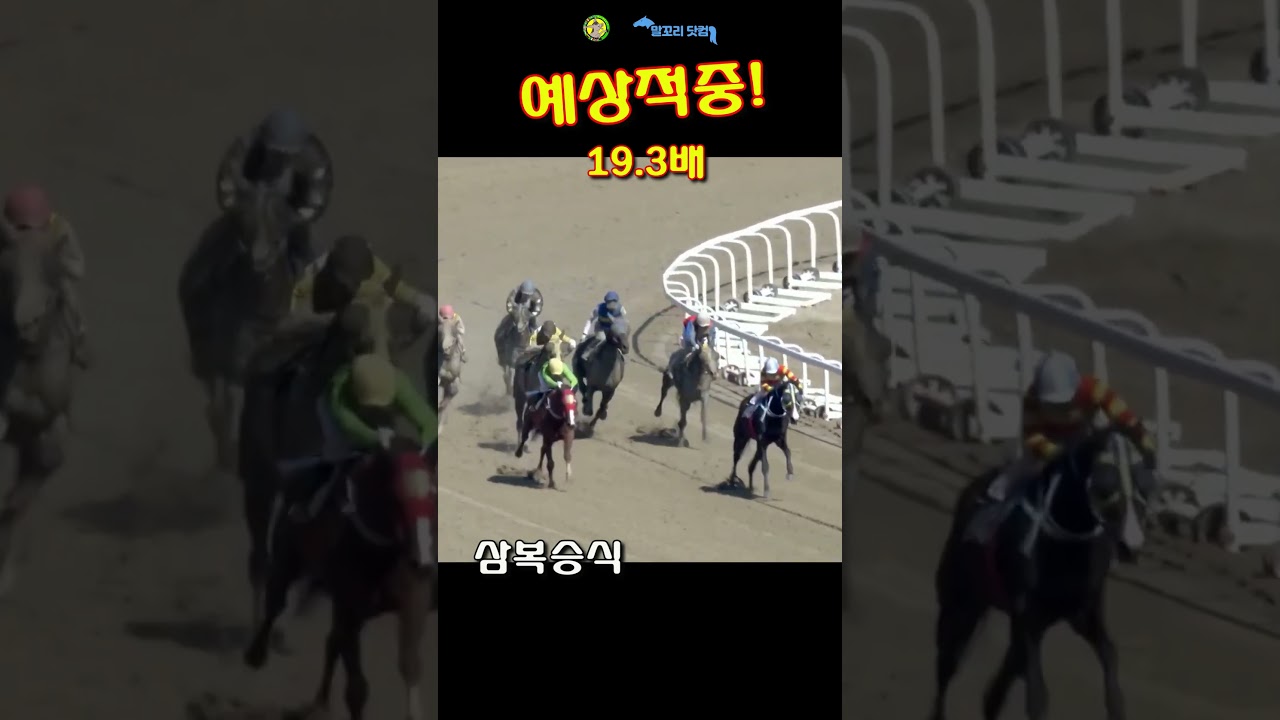 말꼬리 AI경마 예상적중! 19.3배 3월8일 서울3경주 삼복승식 #ai경마 #horse #경마예상