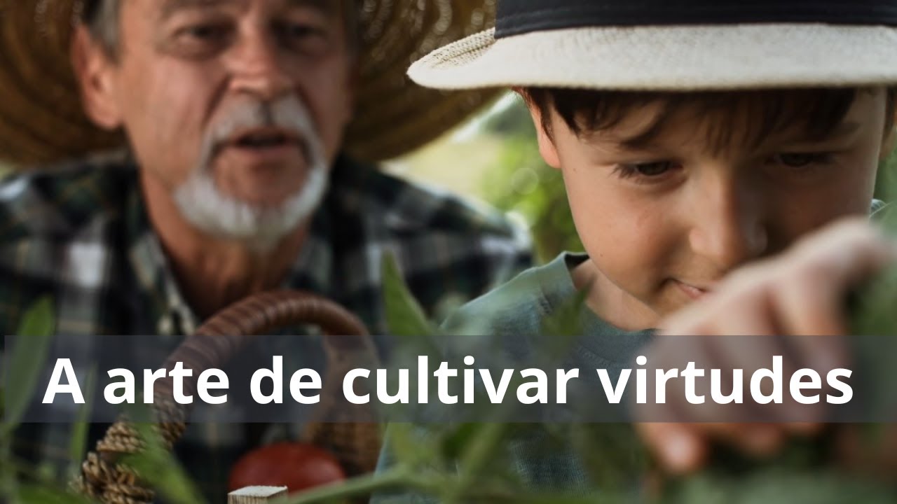 A arte de cultivar virtudes - Momento Espírita