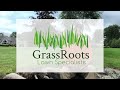 Grassroots lawn specialists about us