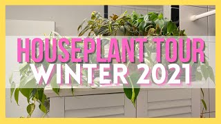 My Houseplant Tour || 86 Plant Collection || Winter 2021 || Soiled Plant