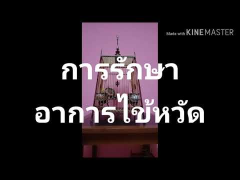 การ รักษา นกจาม เป็นไข้ หวัด นั่งซึม ขนพอง เสียงแหบ @ทาสนก สุราษฎร์