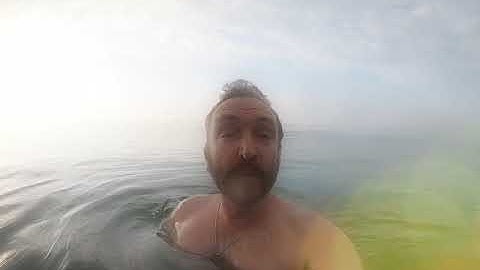 Metaphors of Movement Online - Levels 1&2 with Andrew T. Austin