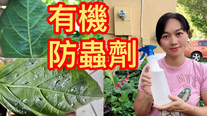 （33）蔬菜果樹生病了怎麼辦？自製無毒殺蟲劑有機防蟲劑！蚜蟲、白粉蝨、紅蜘蛛、白粉病有效防治！ - 天天要聞