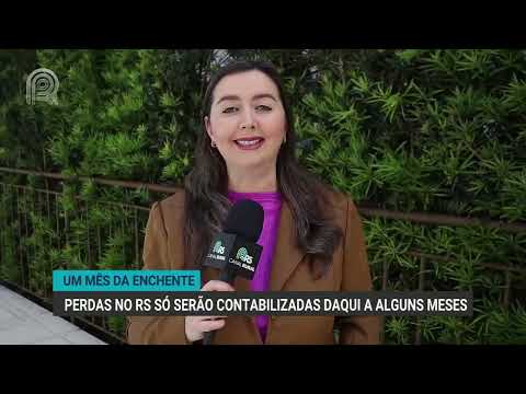 Perdas no Rio Grande do Sul  só serão contabilizadas daqui a alguns meses | Canal Rural