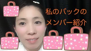 仕事用バックとお散歩バックの紹介【少ゆる】