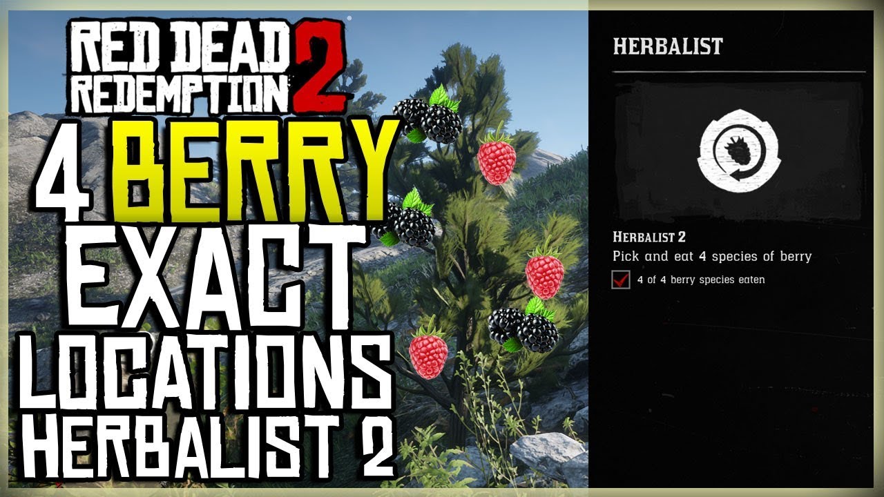 nabo Ung gået vanvittigt 4 DIFFERENT BERRY LOCATIONS - PICK AND EAT 4 SPECIES OF BERRY - HERBALIST 2  - RED DEAD - YouTube