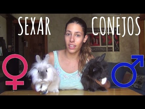 snapchat hembra pequeño snapchat hembra pequeño